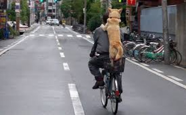 Regras para quem anda de bicicleta no Japão!